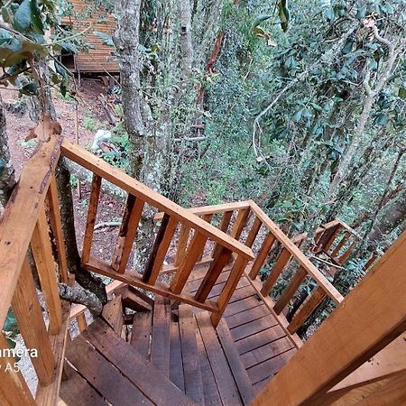 Cabana En El Bosque De San Jose Del Pacifico Kültér fotó