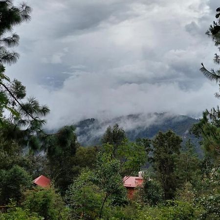 Cabana En El Bosque De San Jose Del Pacifico Kültér fotó