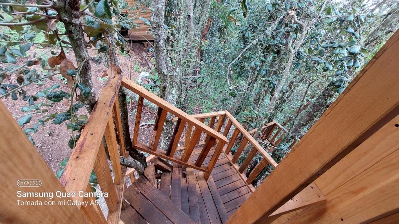 Cabana En El Bosque De San Jose Del Pacifico Kültér fotó