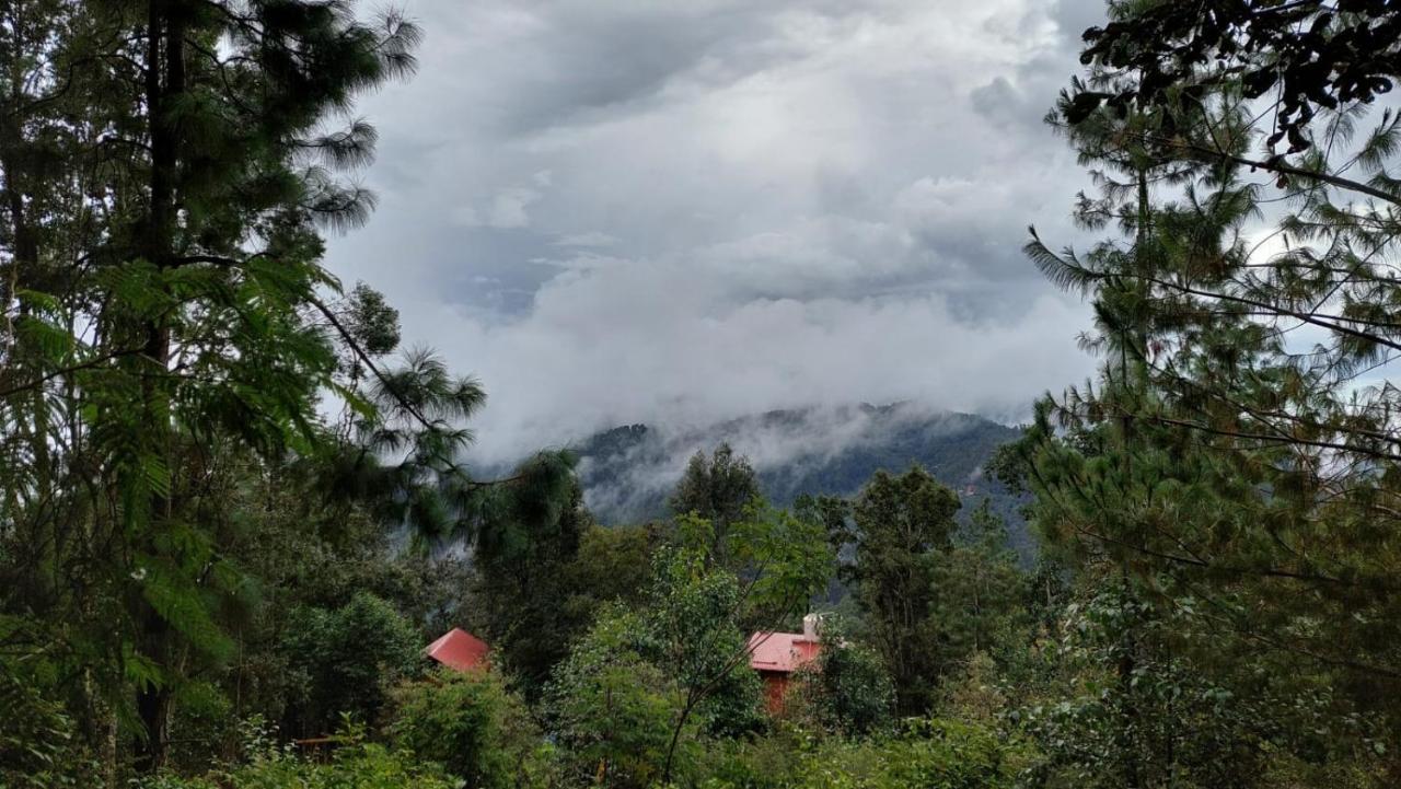 Cabana En El Bosque De San Jose Del Pacifico Kültér fotó