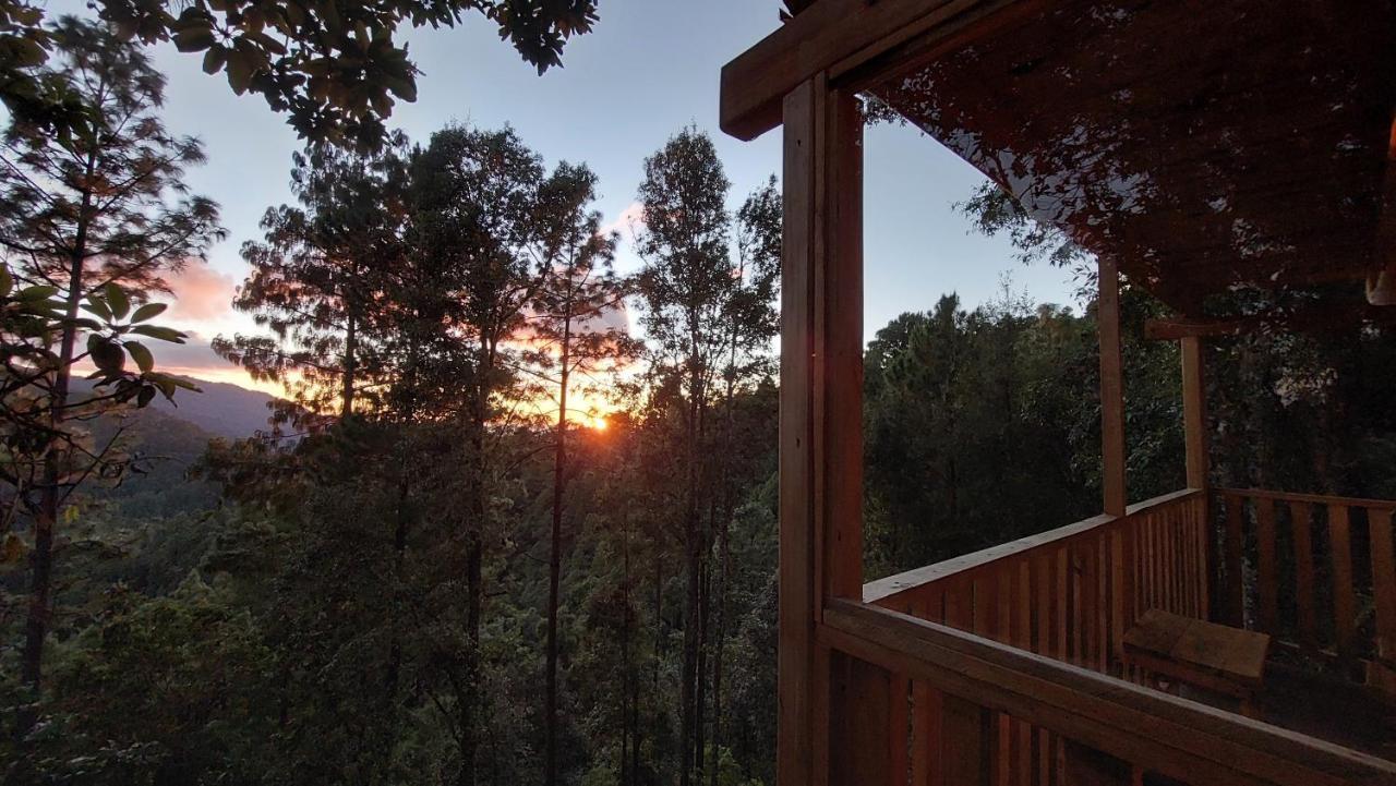 Cabana En El Bosque De San Jose Del Pacifico Kültér fotó
