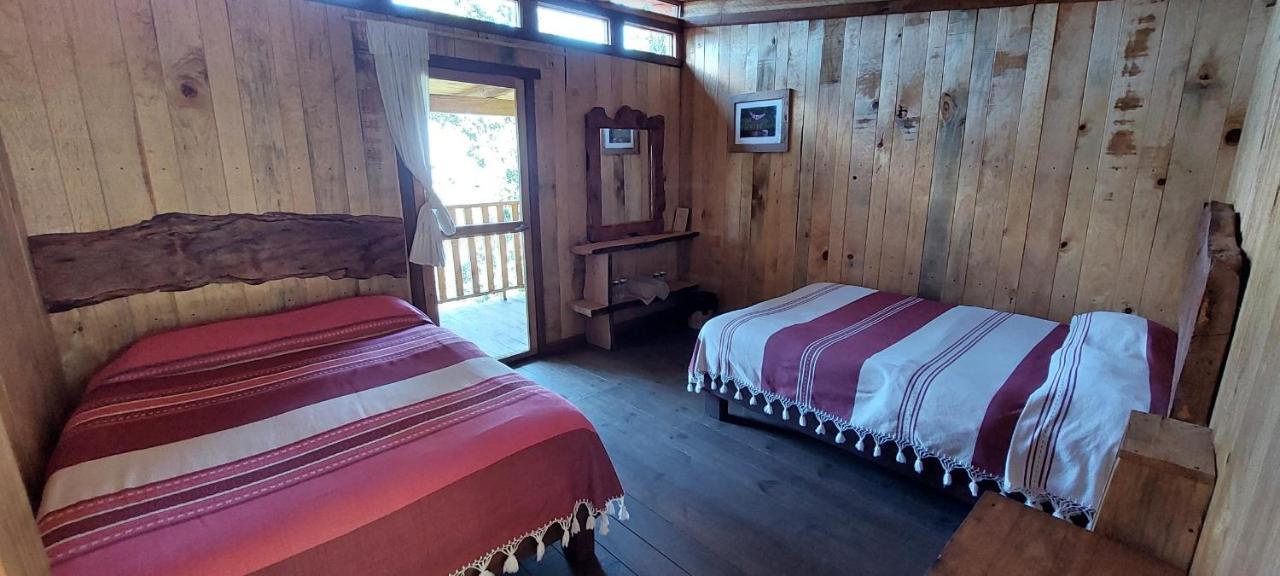 Cabana En El Bosque De San Jose Del Pacifico Kültér fotó