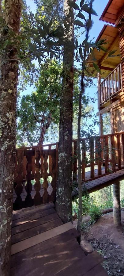 Cabana En El Bosque De San Jose Del Pacifico Kültér fotó