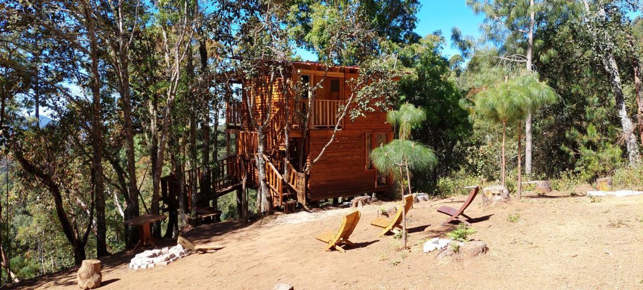 Cabana En El Bosque De San Jose Del Pacifico Kültér fotó
