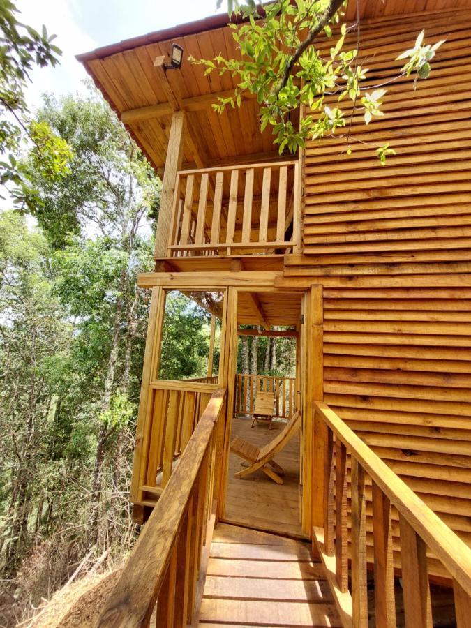 Cabana En El Bosque De San Jose Del Pacifico Kültér fotó